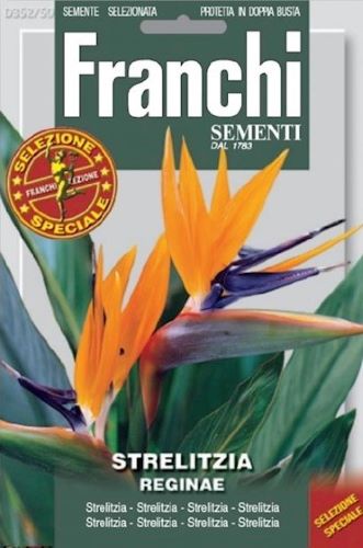 Bird Of Paradise Seeds